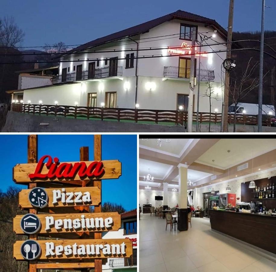 Pensiune Restaurant Liana Mehadija Exterior foto